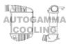 AUTOGAMMA 104405 Intercooler, charger